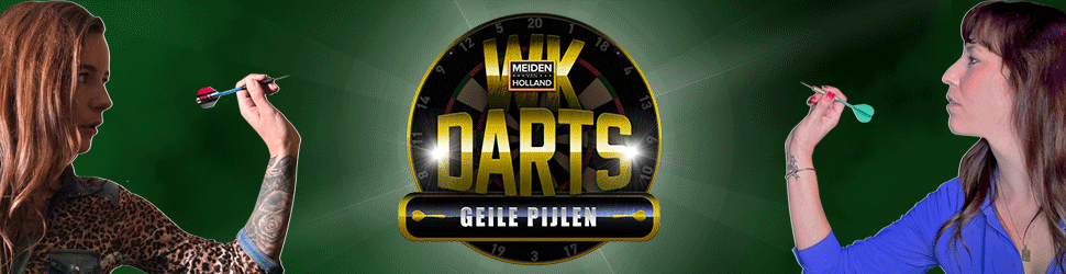 Banner wk darts stemmen 2