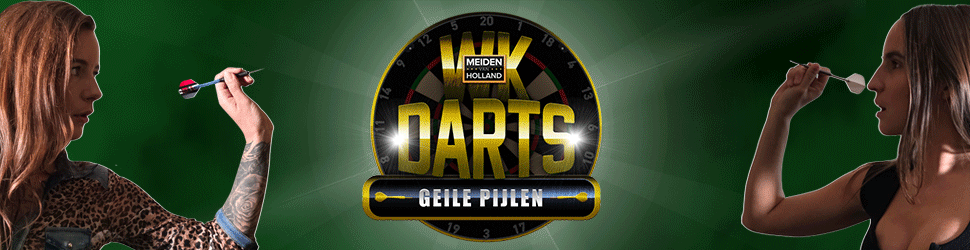 Banner wk darts stemmen 3